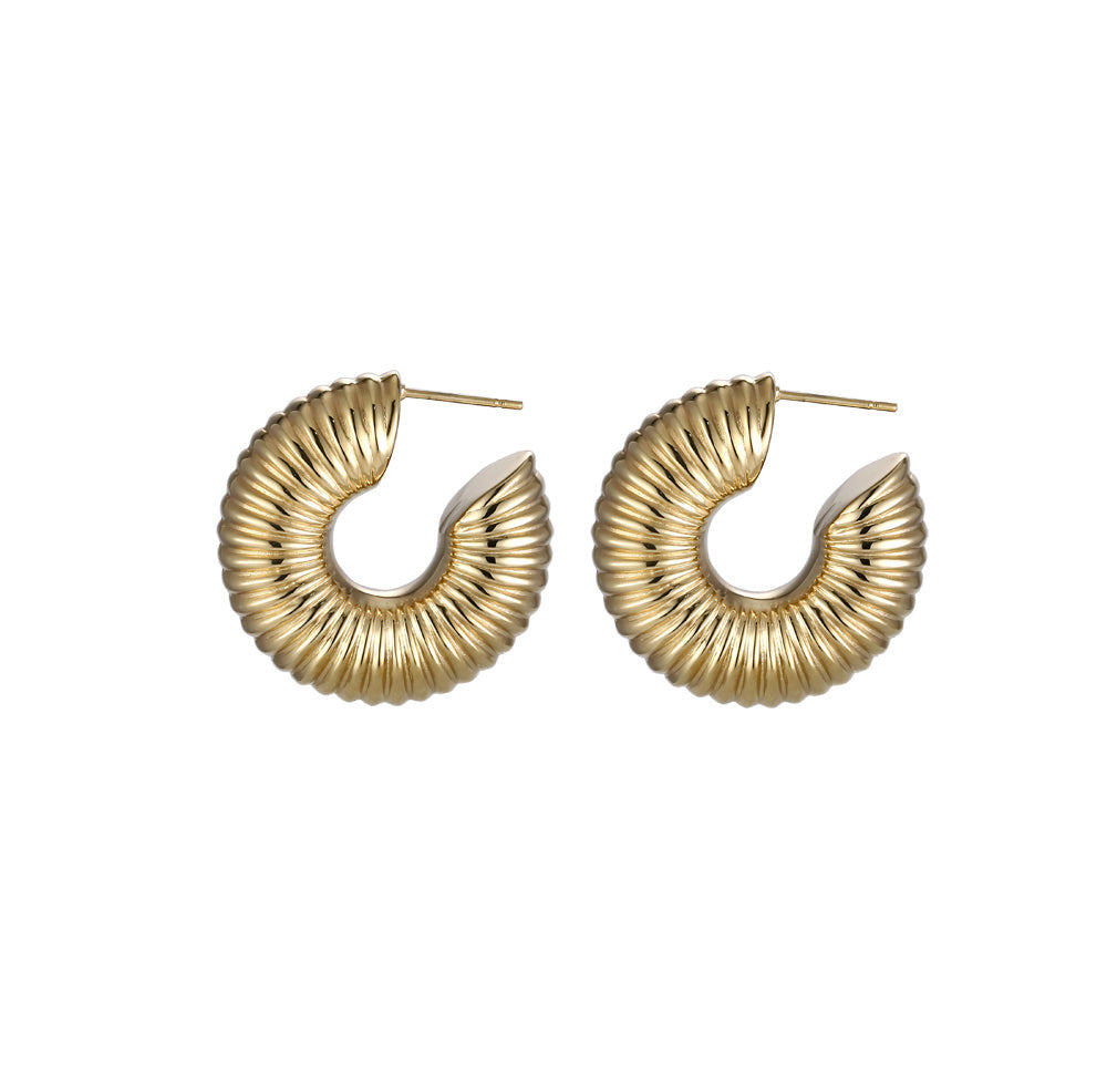 ESS783 Stainless Steel Hollow Earring AAB CO..