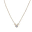 GNSS325 STAINLESS STEEL NECKLACE