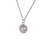 INP260A STAINLESS STEEL PENDANT