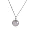 INP260A STAINLESS STEEL PENDANT