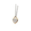 GPSS868 STAINLESS STEEL PENDANT