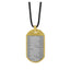 INP273A STAINLESS STEEL PENDANT